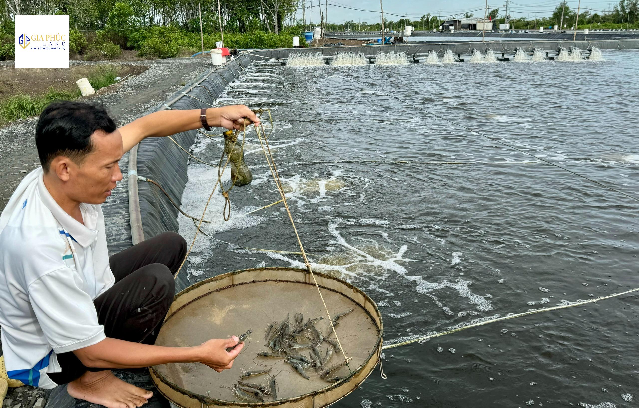 Nuôi trồng thuỷ sản